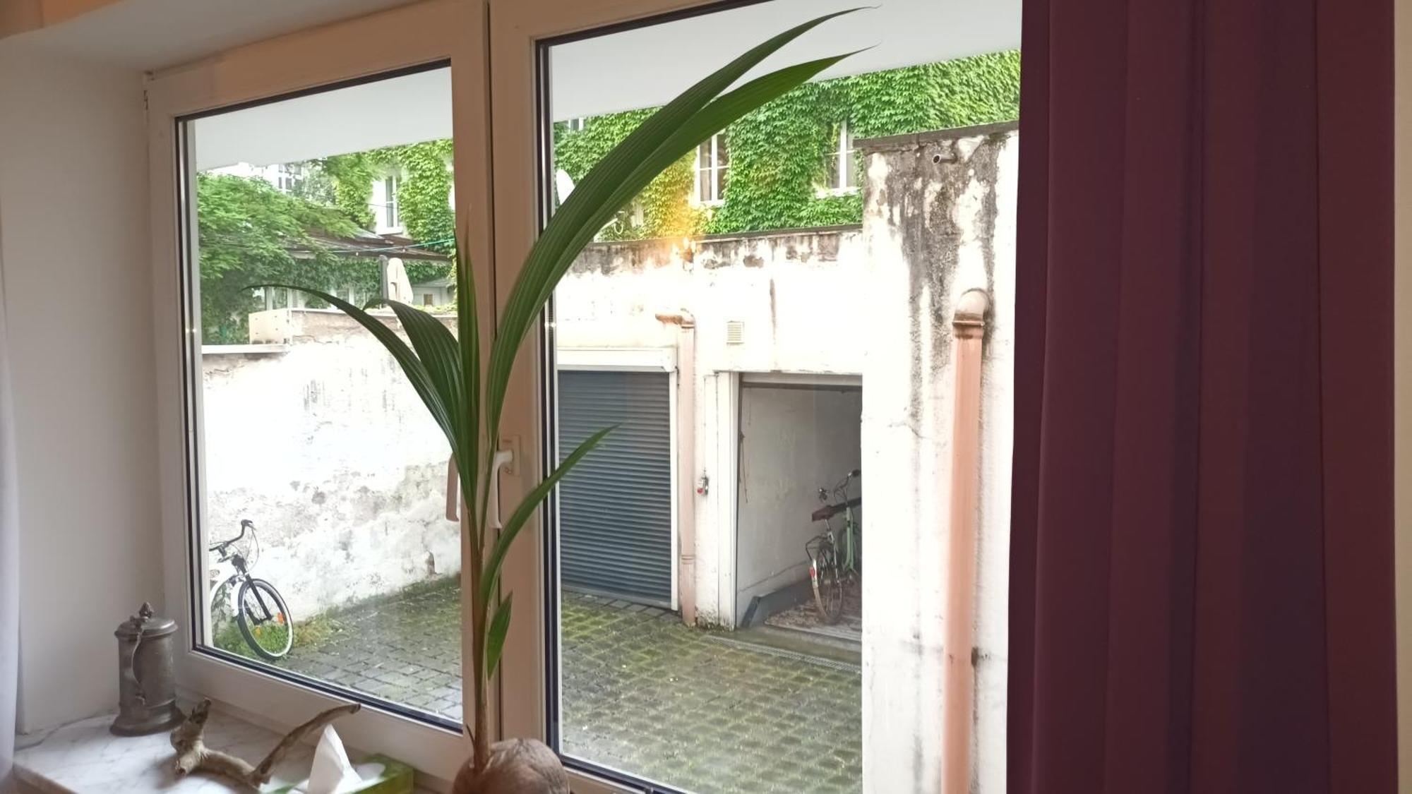 Stilvolles Appartement Im Zentralen Schwabing - Innenstadt München Exterior foto